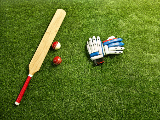 Shop for Premium cricket equipment&nbsp;online!